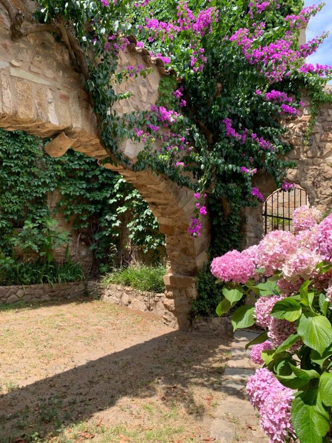 Els Racons Del Fort Castle In Wine Territory Capmany Bagian luar foto